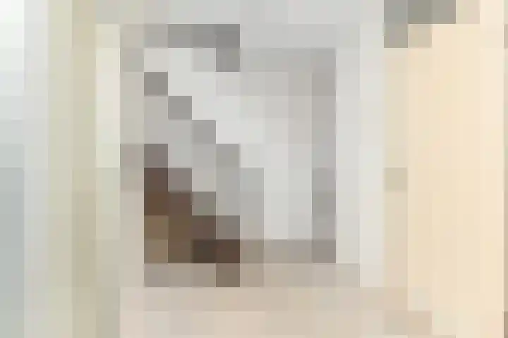 Karpersloot 26 Zoetermeer thumbnail 27
