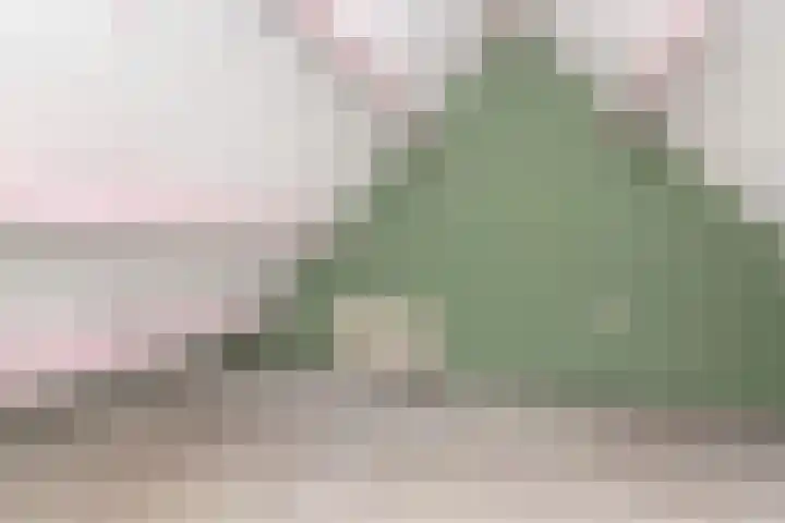 Karpersloot 26 Zoetermeer thumbnail 31