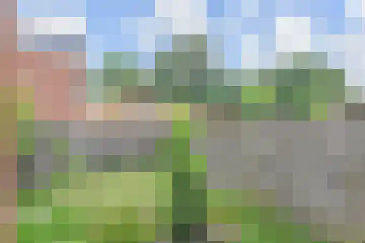 Karpersloot 26 Zoetermeer thumbnail 34
