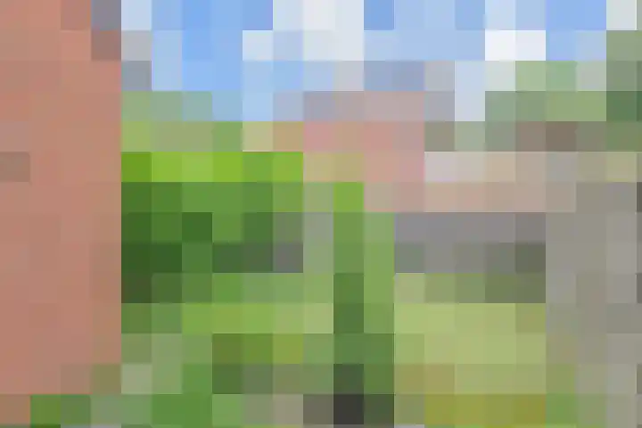 Karpersloot 26 Zoetermeer thumbnail 35