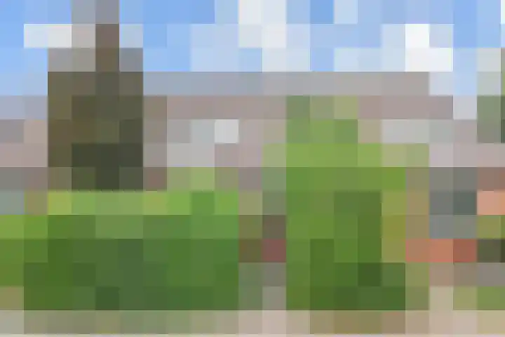 Karpersloot 26 Zoetermeer thumbnail 43