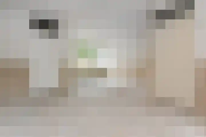 Karpersloot 26 Zoetermeer thumbnail 8