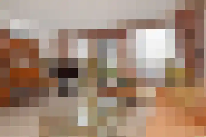 Karpersloot 48 Zoetermeer thumbnail 11