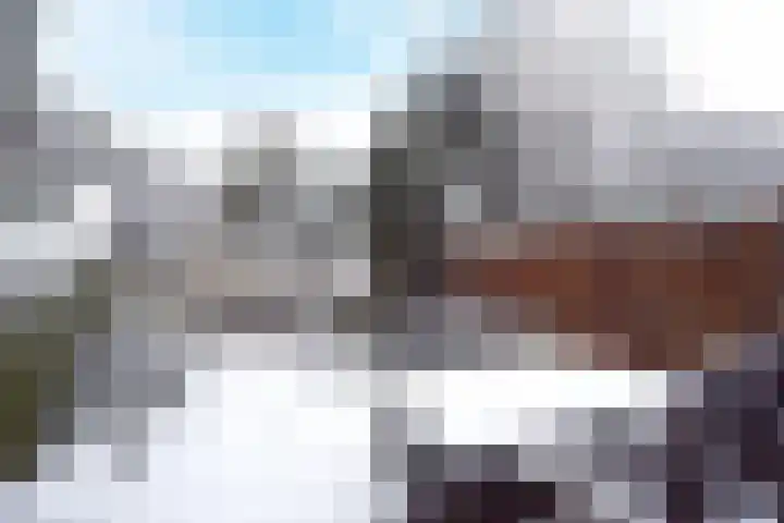 Karpersloot 48 Zoetermeer thumbnail 13