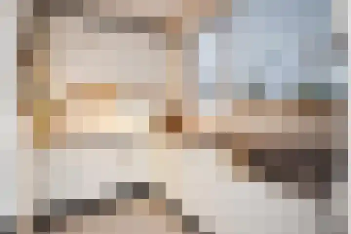 Karpersloot 48 Zoetermeer thumbnail 21