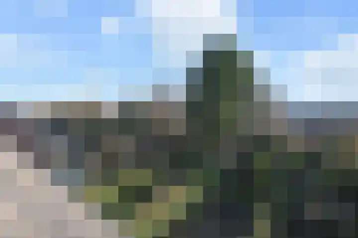 Karpersloot 48 Zoetermeer thumbnail 26