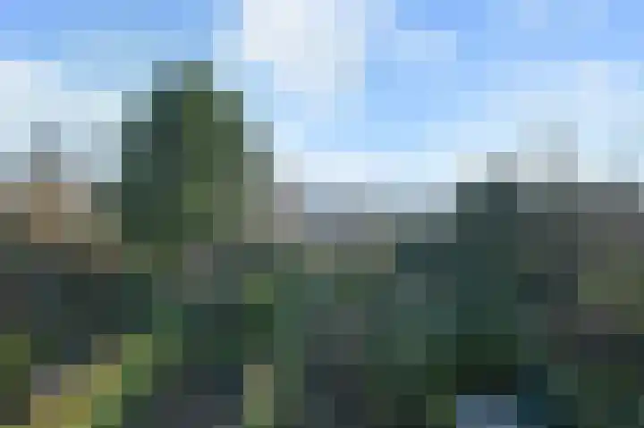 Karpersloot 48 Zoetermeer thumbnail 28