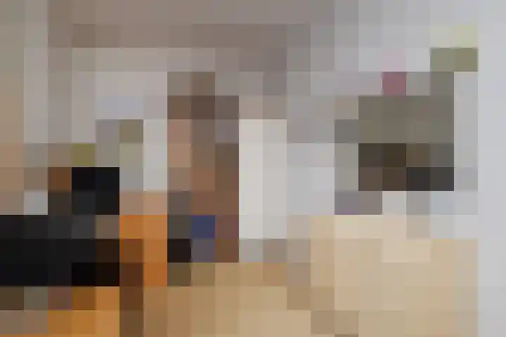 Karpersloot 48 Zoetermeer thumbnail 31