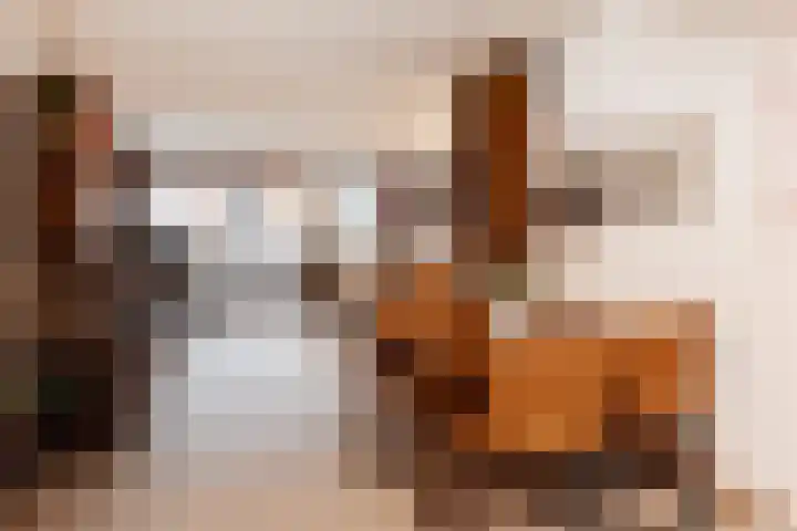Karpersloot 48 Zoetermeer thumbnail 9