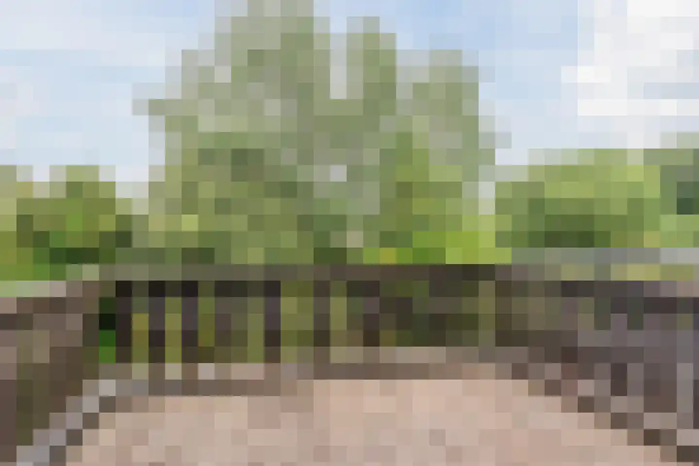 Karpersloot 54 Zoetermeer thumbnail 28