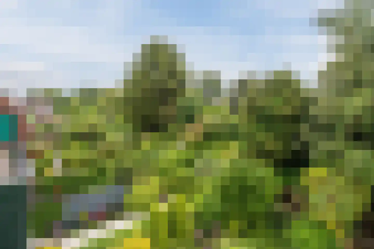 Karpersloot 54 Zoetermeer thumbnail 29