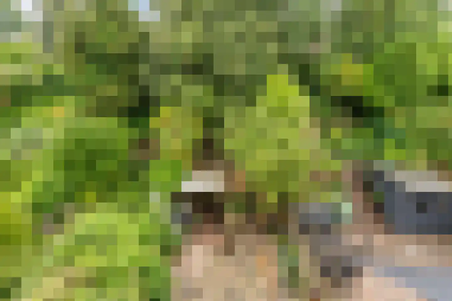 Karpersloot 54 Zoetermeer thumbnail 30