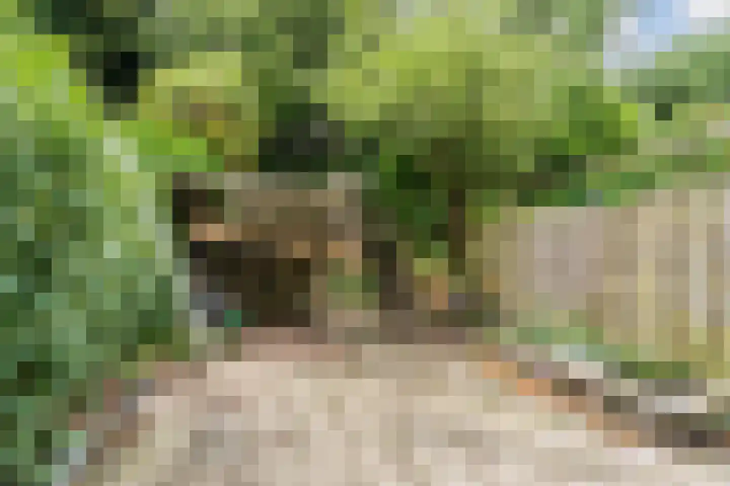 Karpersloot 54 Zoetermeer thumbnail 31