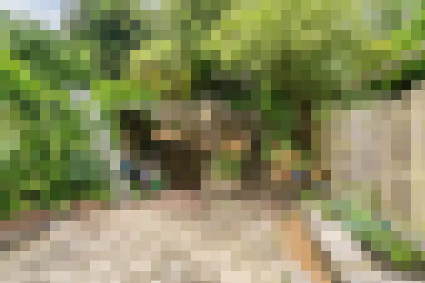 Karpersloot 54 Zoetermeer thumbnail 32