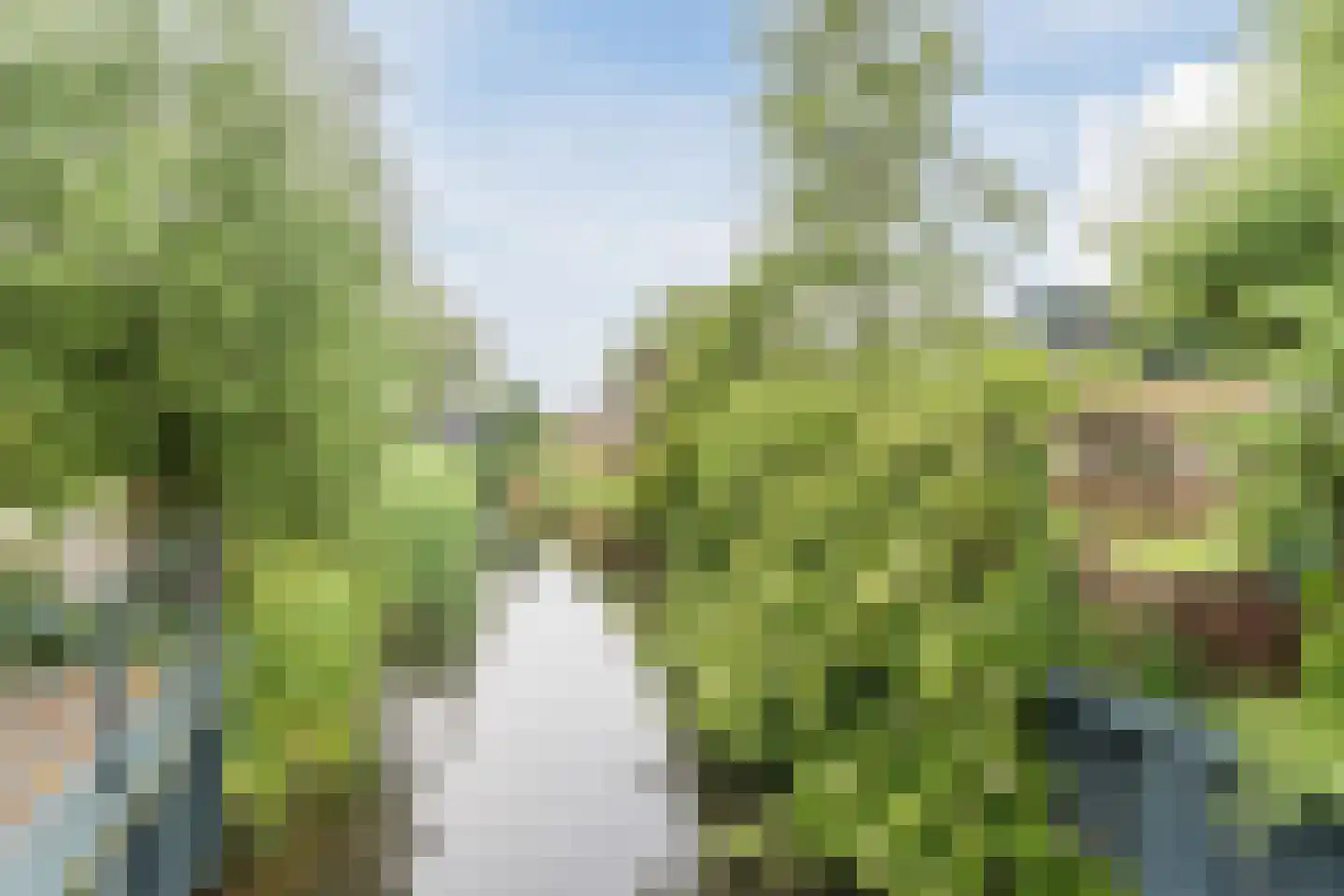 Karpersloot 54 Zoetermeer thumbnail 36
