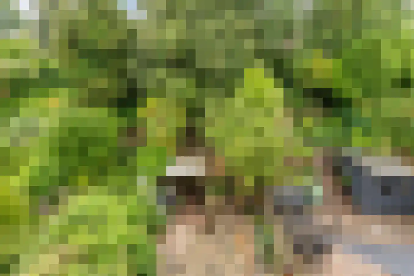 Karpersloot 54 Zoetermeer thumbnail 4