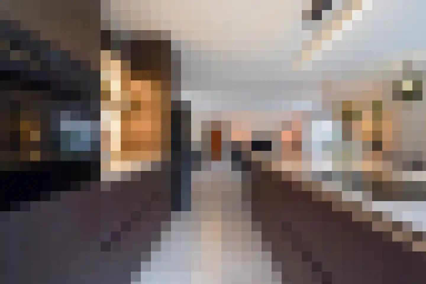 Karpersloot 64 Zoetermeer thumbnail 20