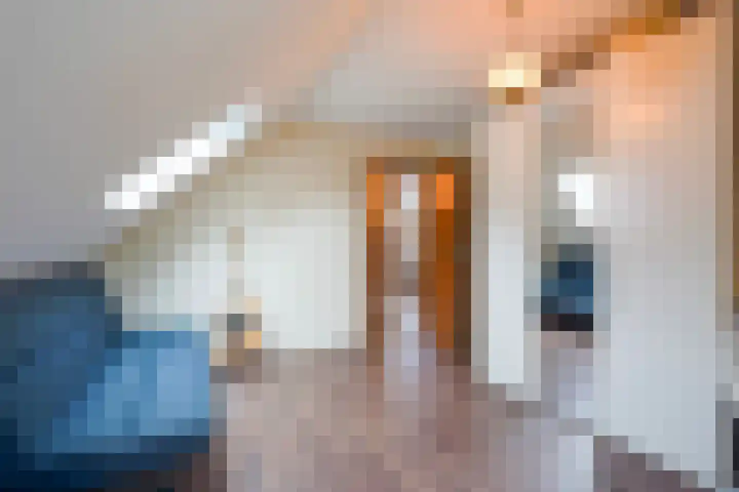 Karpersloot 64 Zoetermeer thumbnail 34