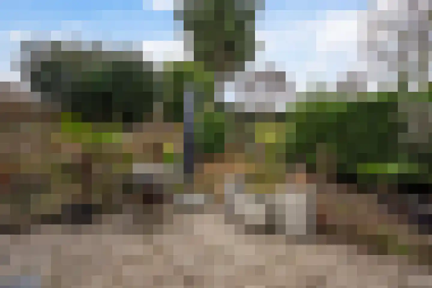 Karpersloot 64 Zoetermeer thumbnail 42