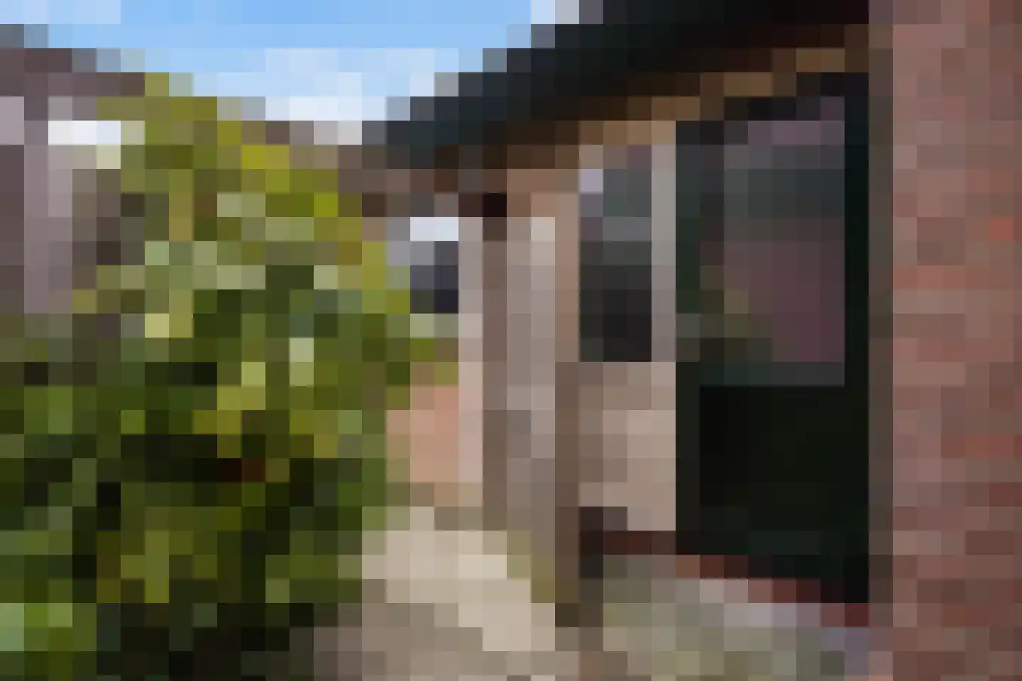 Karpersloot 64 Zoetermeer thumbnail 47