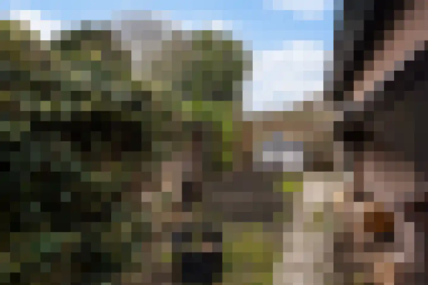 Karpersloot 64 Zoetermeer thumbnail 48
