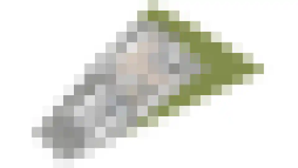 Karpersloot 64 Zoetermeer thumbnail 54