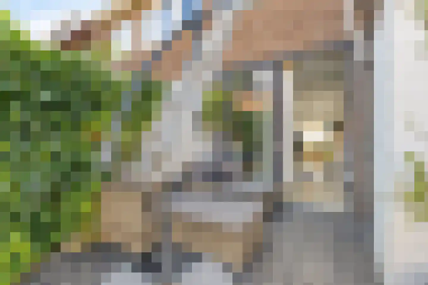 Karperstraat 113 Arnhem thumbnail 4
