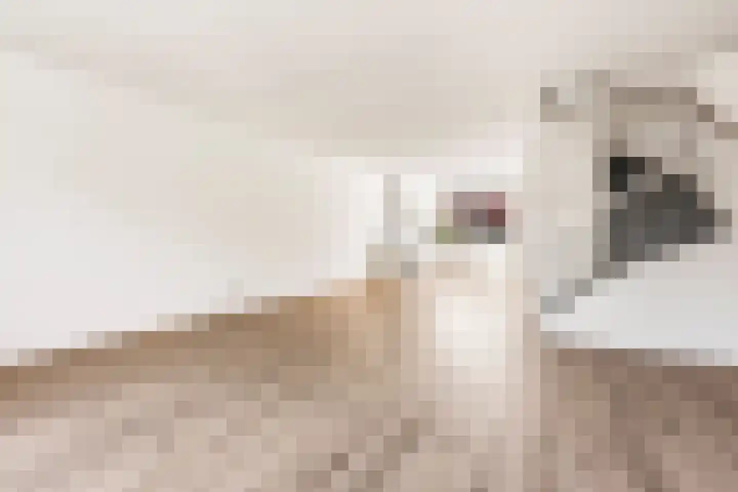 Karperstraat 132 Aalsmeer thumbnail 13