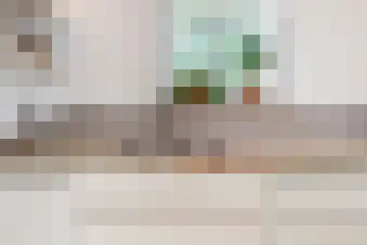 Karperstraat 14 Aalsmeer thumbnail 12