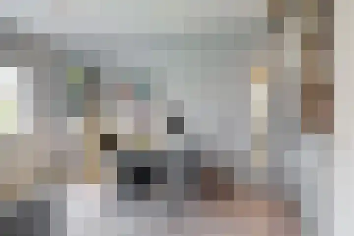 Karperstraat 14 Aalsmeer thumbnail 29