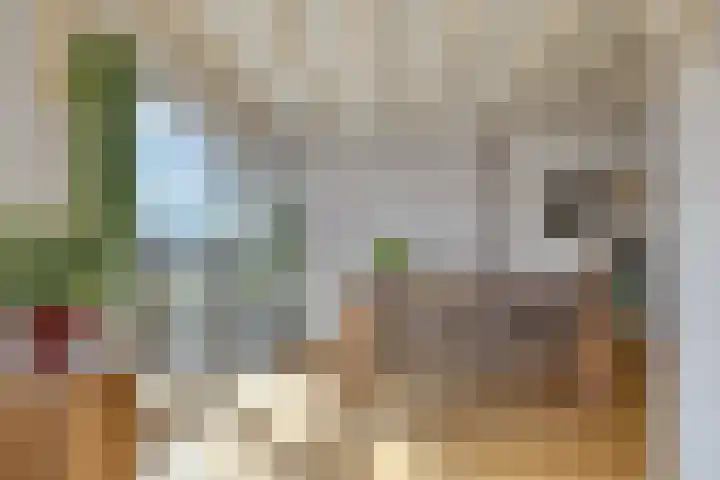Karperstraat 14 Ooij thumbnail 10