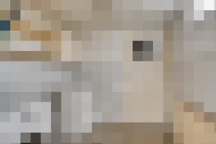 Karperstraat 14 Ooij thumbnail 13