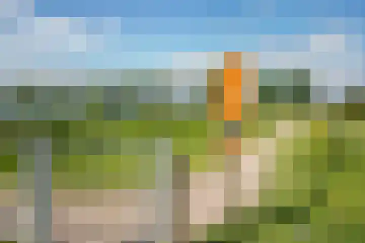 Karperstraat 14 Ooij thumbnail 31