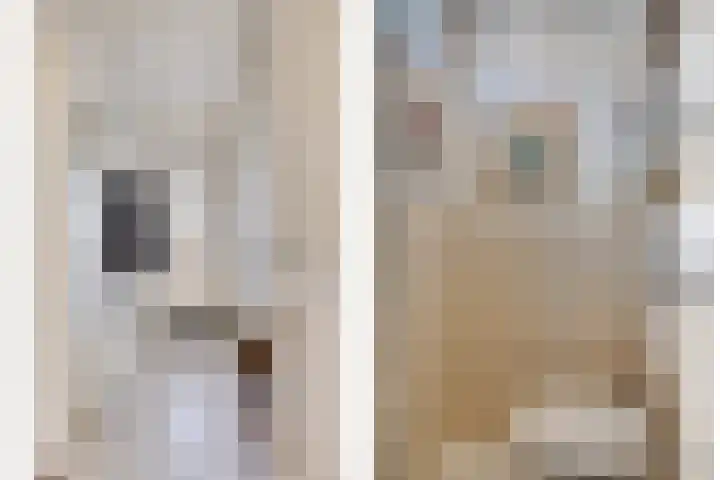 Karperstraat 14 Ooij thumbnail 6