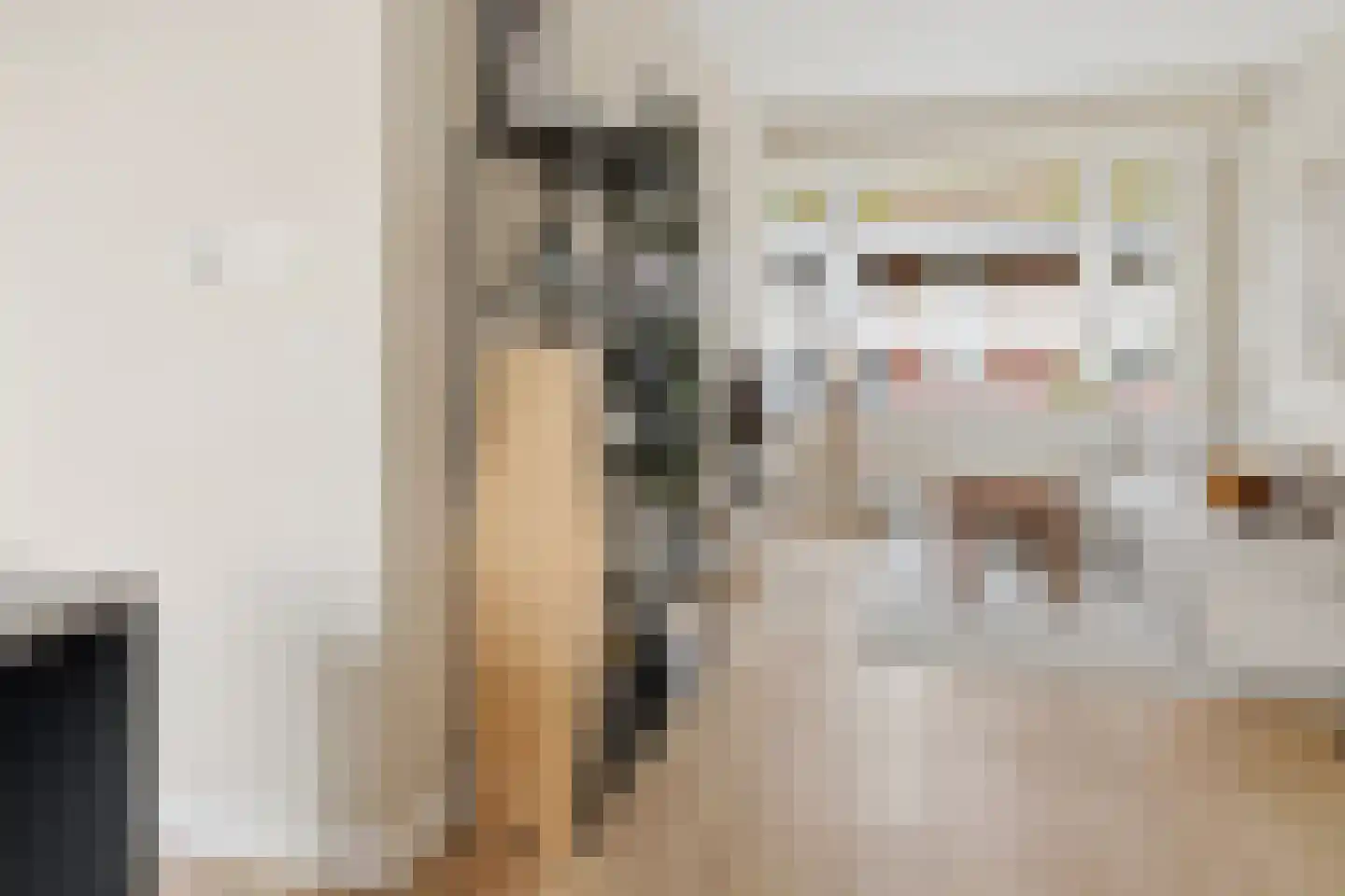 Karperstraat 14 Utrecht thumbnail 12