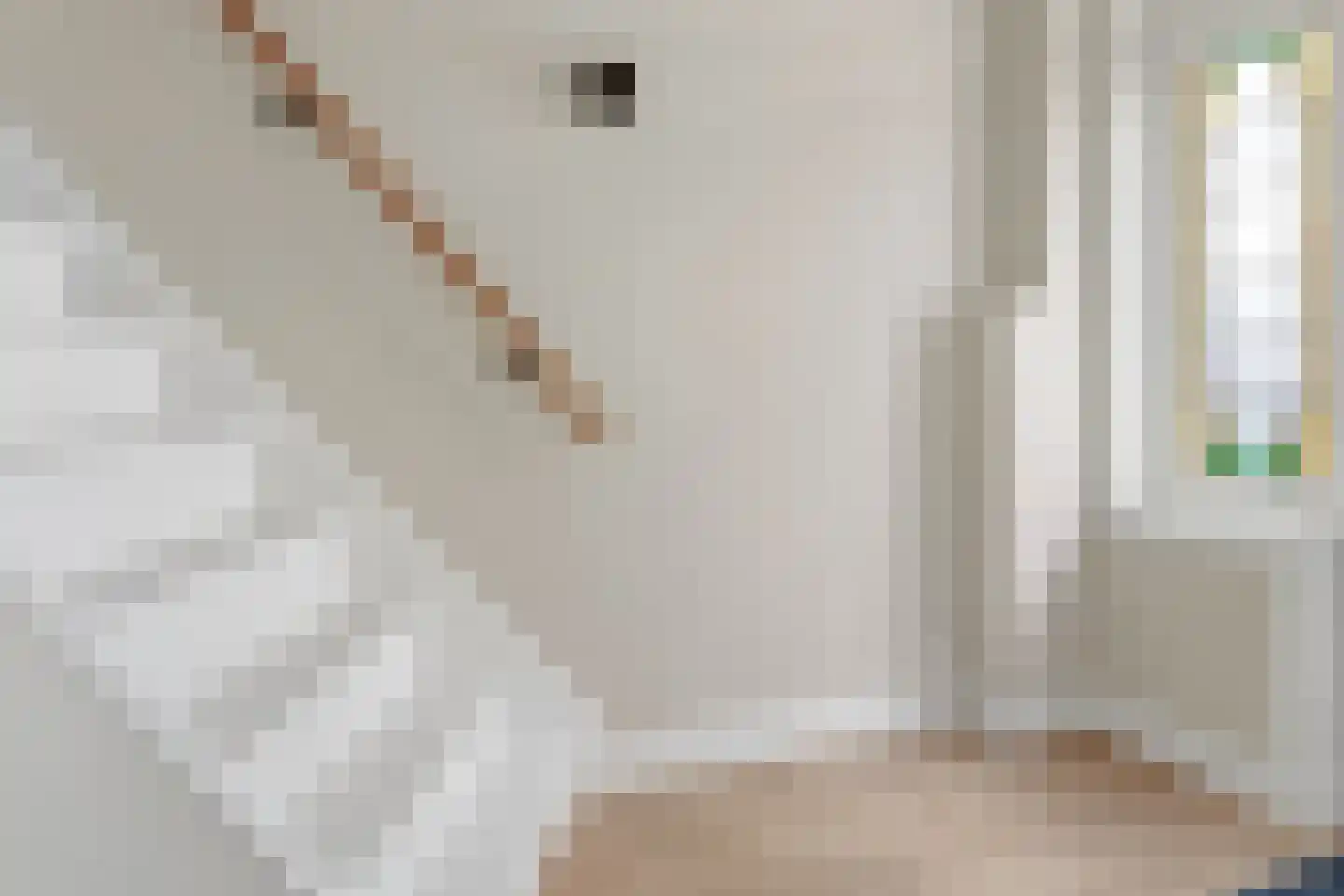 Karperstraat 14 Utrecht thumbnail 9