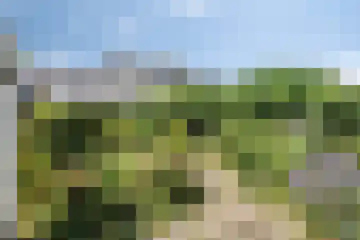 Karperstraat 15 Ooij thumbnail 18