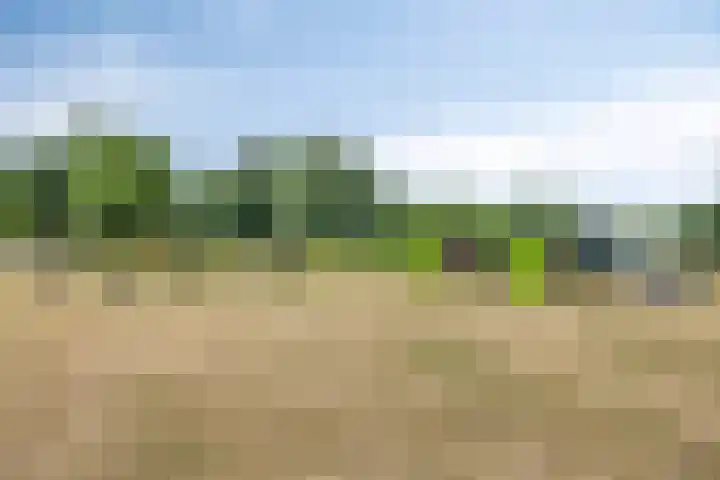 Karperstraat 15 Ooij thumbnail 22
