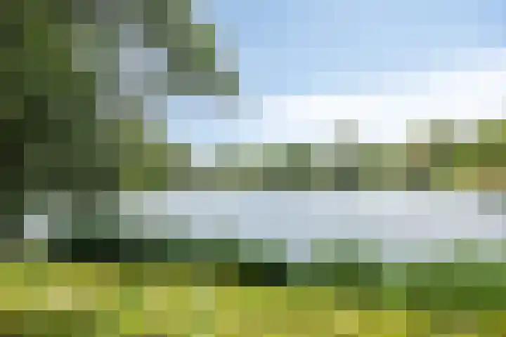 Karperstraat 15 Ooij thumbnail 23