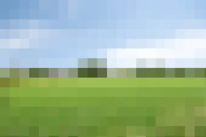 Karperstraat 15 Ooij thumbnail 24