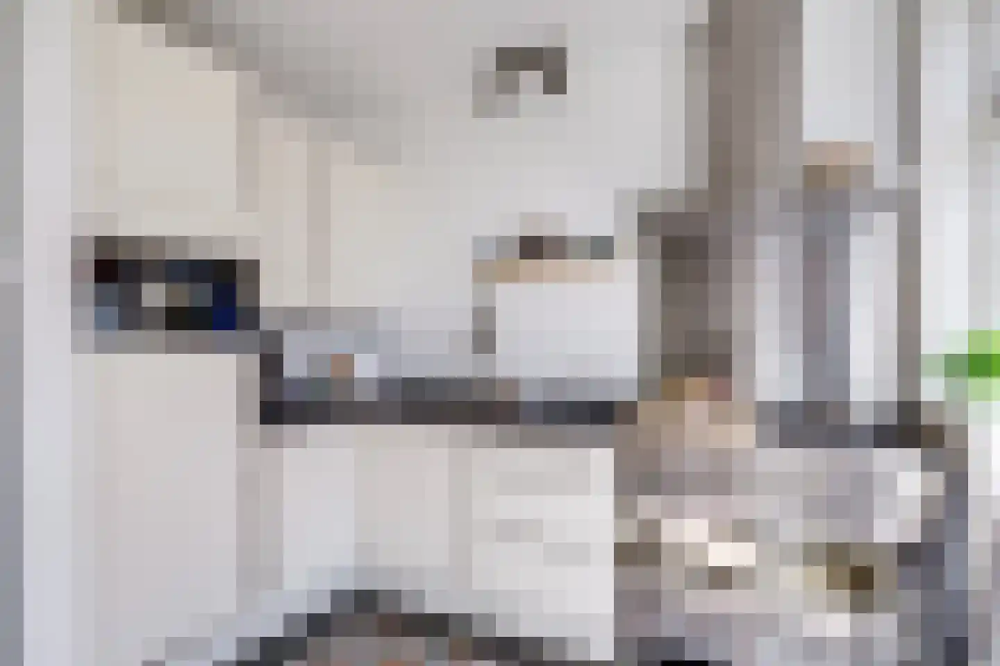 Karperstraat 16 Utrecht thumbnail 20