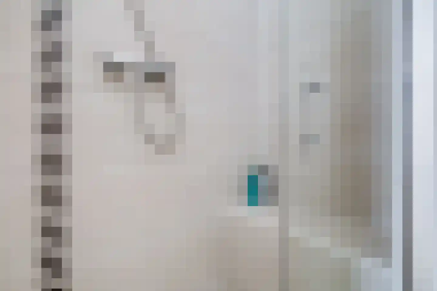 Karperstraat 16 Utrecht thumbnail 55