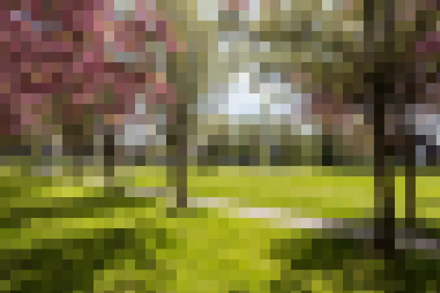 Karperstraat 16 Utrecht thumbnail 68