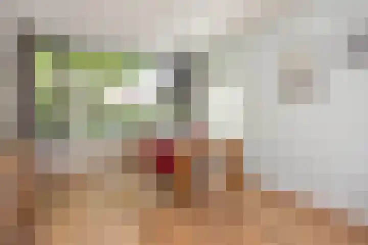 Karperstraat 38 Utrecht thumbnail 15