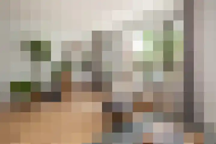 Karperstraat 38 Utrecht thumbnail 19