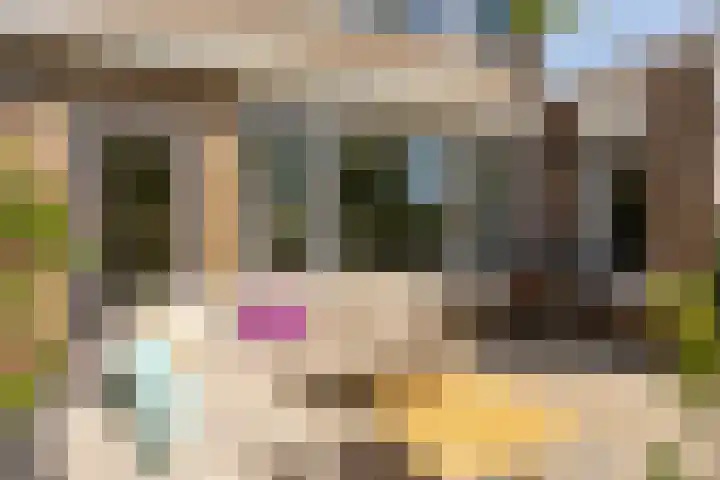 Karperstraat 38 Utrecht thumbnail 27