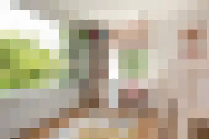 Karperstraat 38 Utrecht thumbnail 39