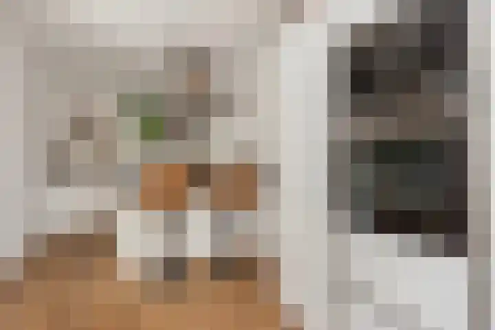 Karperstraat 38 Utrecht thumbnail 4