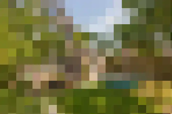 Karperstraat 38 Utrecht thumbnail 5