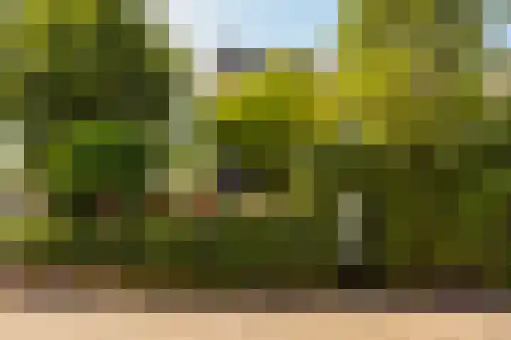 Karperstraat 38 Utrecht thumbnail 9